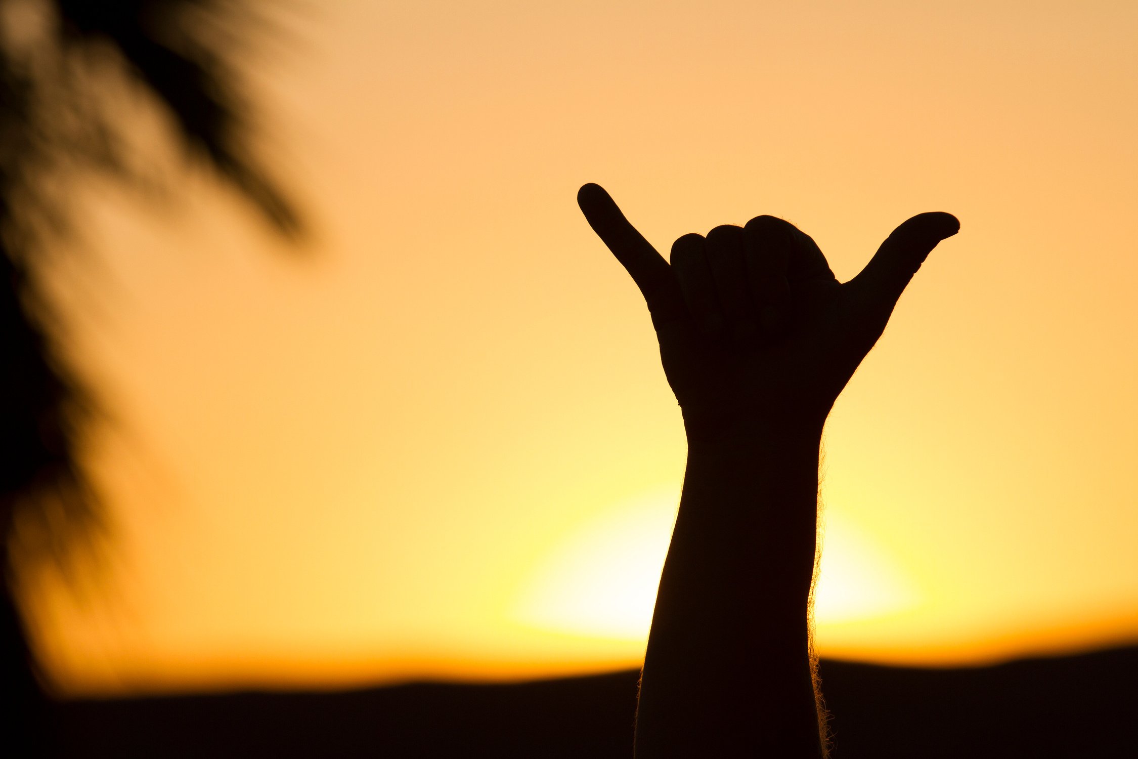 Shaka Sign